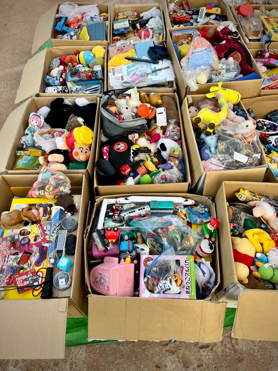 Assorted General Merchandise Pallet Lot
