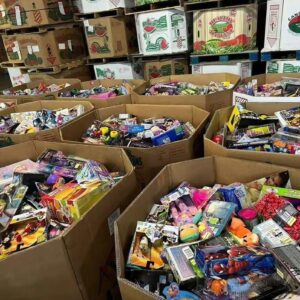 Mixed Toys Liquidation Lot – Assorted Brand-Name Kids Toys (Shelf Pulls & Overstock)